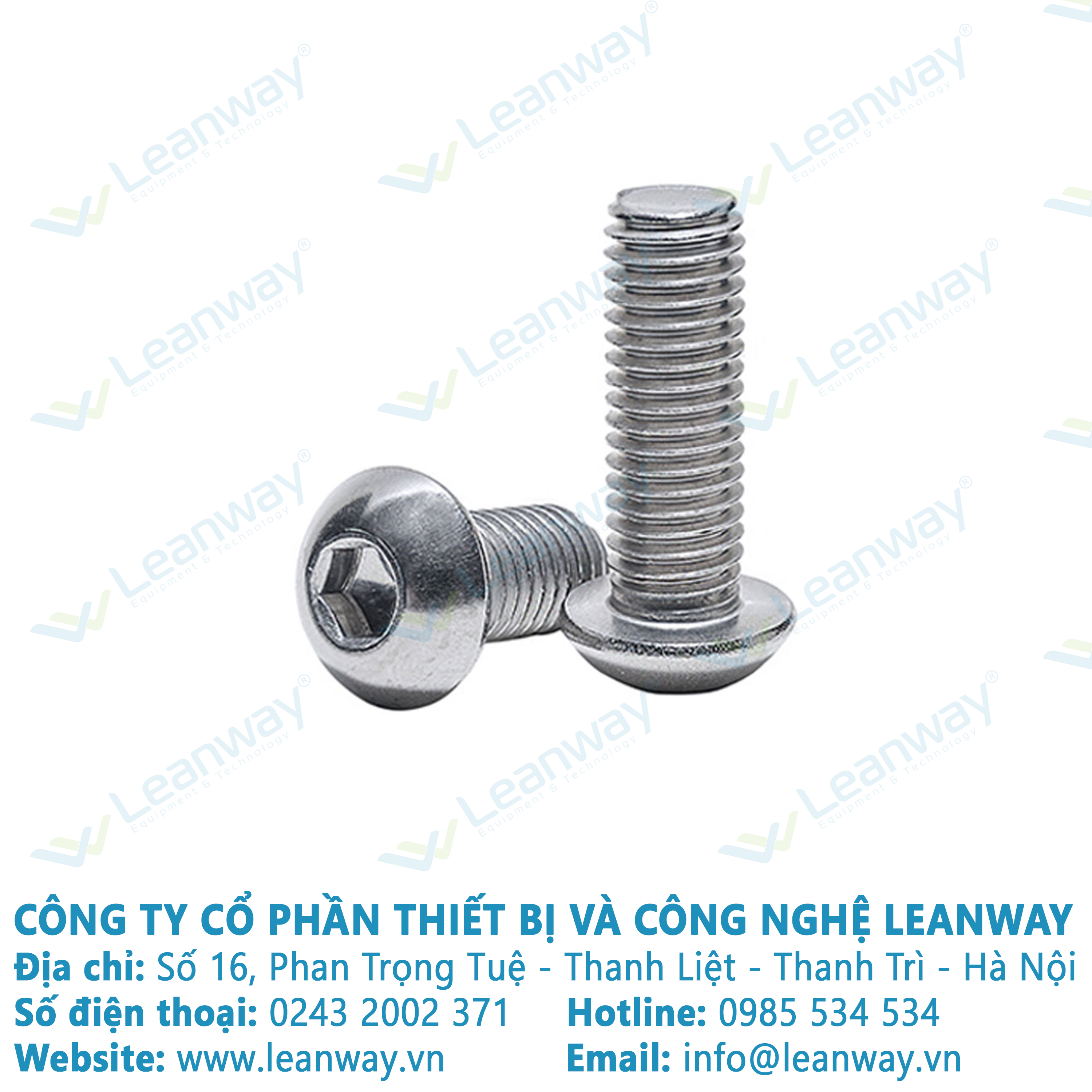 10 con Bulong đầu cầu inox 201