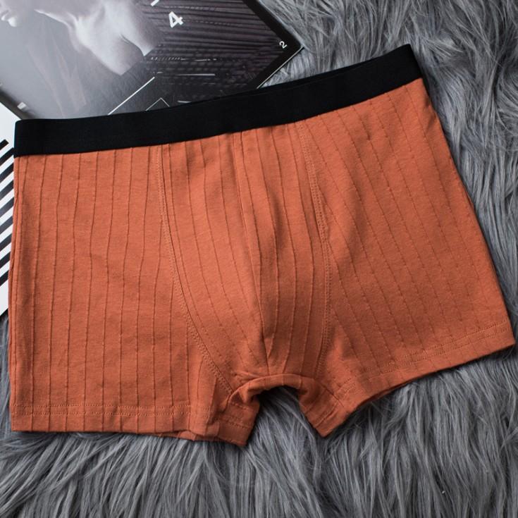 Quần lót nam Boxer Cotton co dãn 4 chiều Thông hơi thấm hút