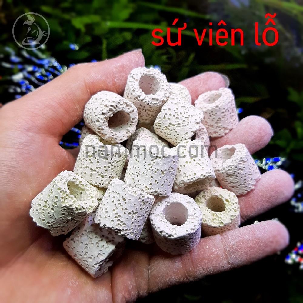 Sứ Viên Trắng | Sứ Lỗ Trắng - Vật liệu lọc nước cho bể cá cảnh, bể thuỷ sinh