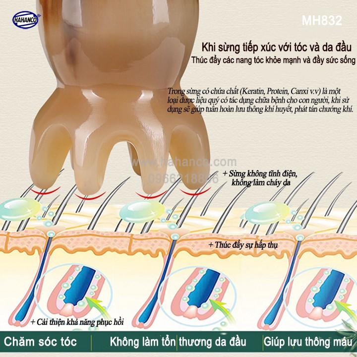 Bạch tuộc Massage đầu giúp lưu thông máu ️ đơn