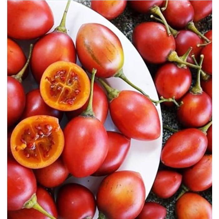 Hạt giống cà chua thân gỗ dể trồng f1-gói 10 hạt-tặng kèm gói phân bón lót