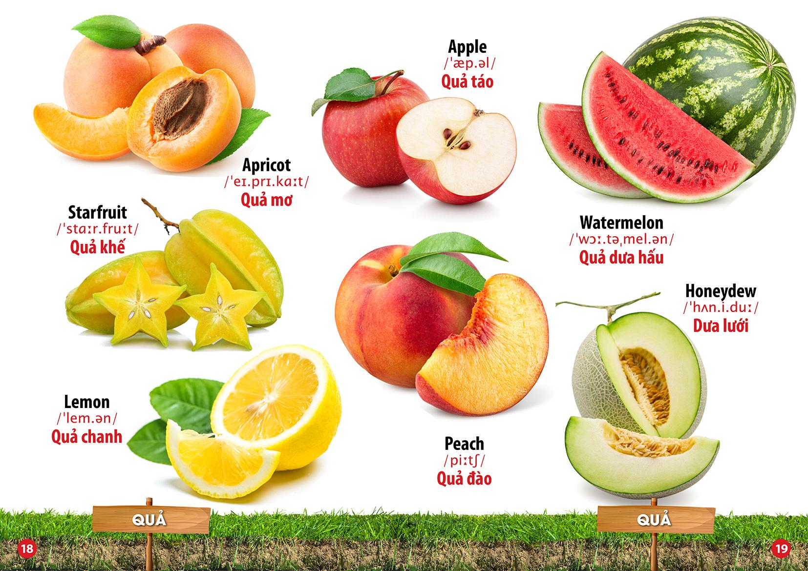 Bộ Sách Từ Điển Bằng Hình: Chữ Cái Và Số Đếm + Khám Phá Ngôi Nhà Của Bé + Hoa Quả Rau Củ + Phương Tiện Giao Thông