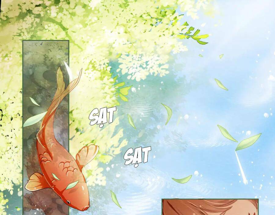 nhặt được bảo bối manh manh chapter 1 47