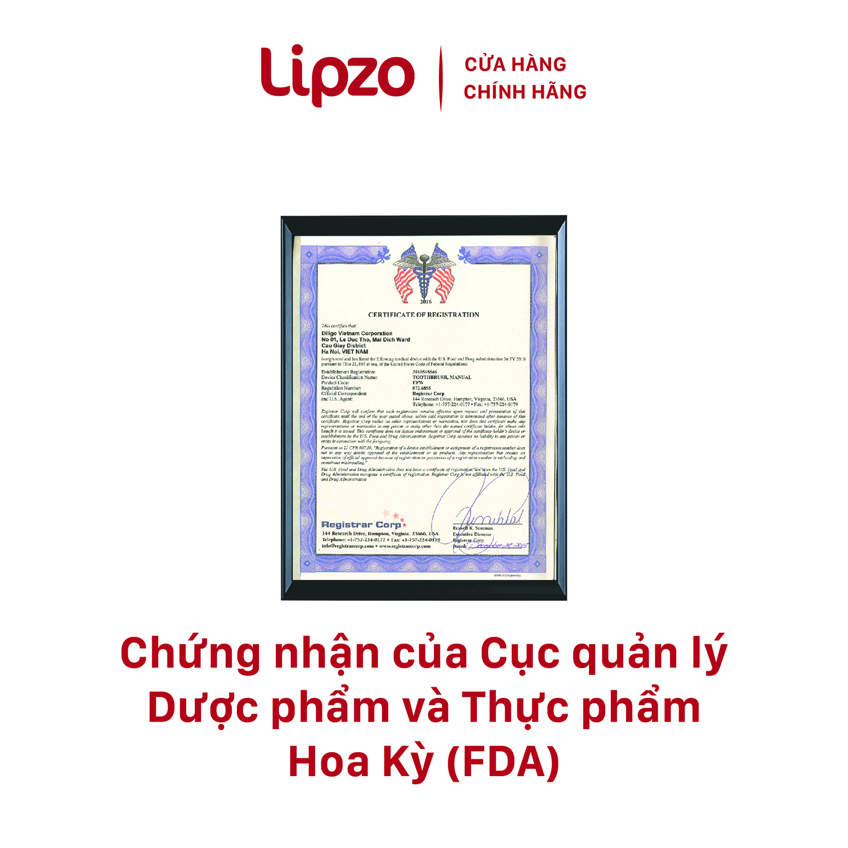 Bàn chải đánh răng Lipzo Ruby Sensi- Giao sản phẩm ngẫu nhiên