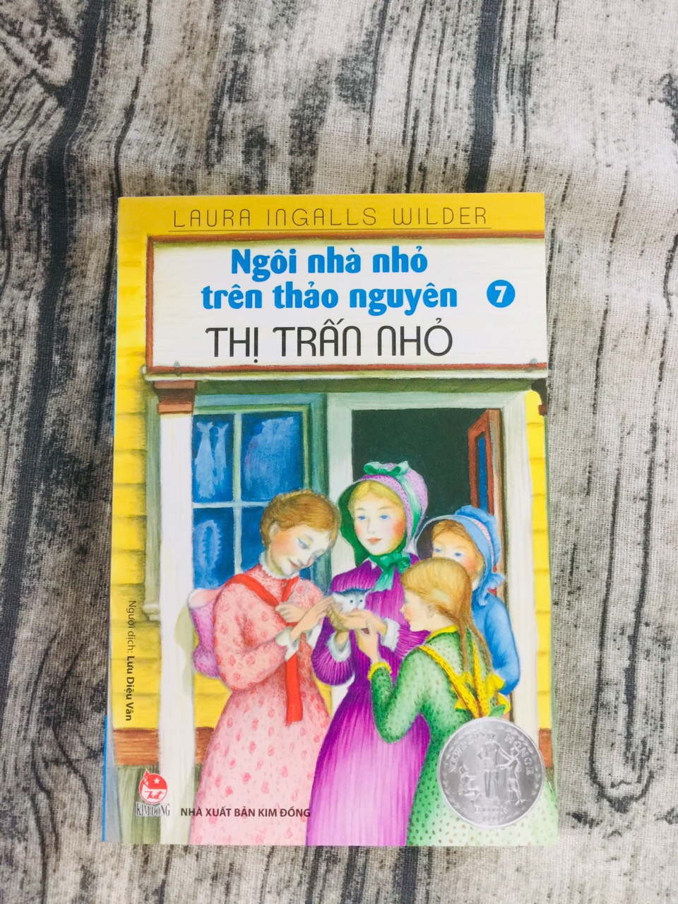 Ngôi Nhà Nhỏ Trên Thảo Nguyên Tập 7 Thị Trấn Nhỏ