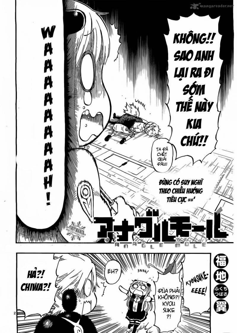 anagle mole chapter 12 2