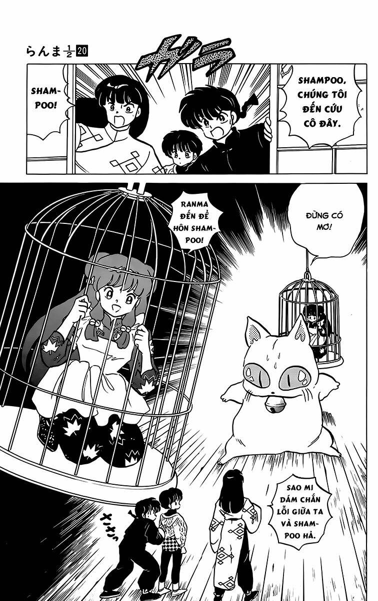 suối lời nguyền chapter 209 5