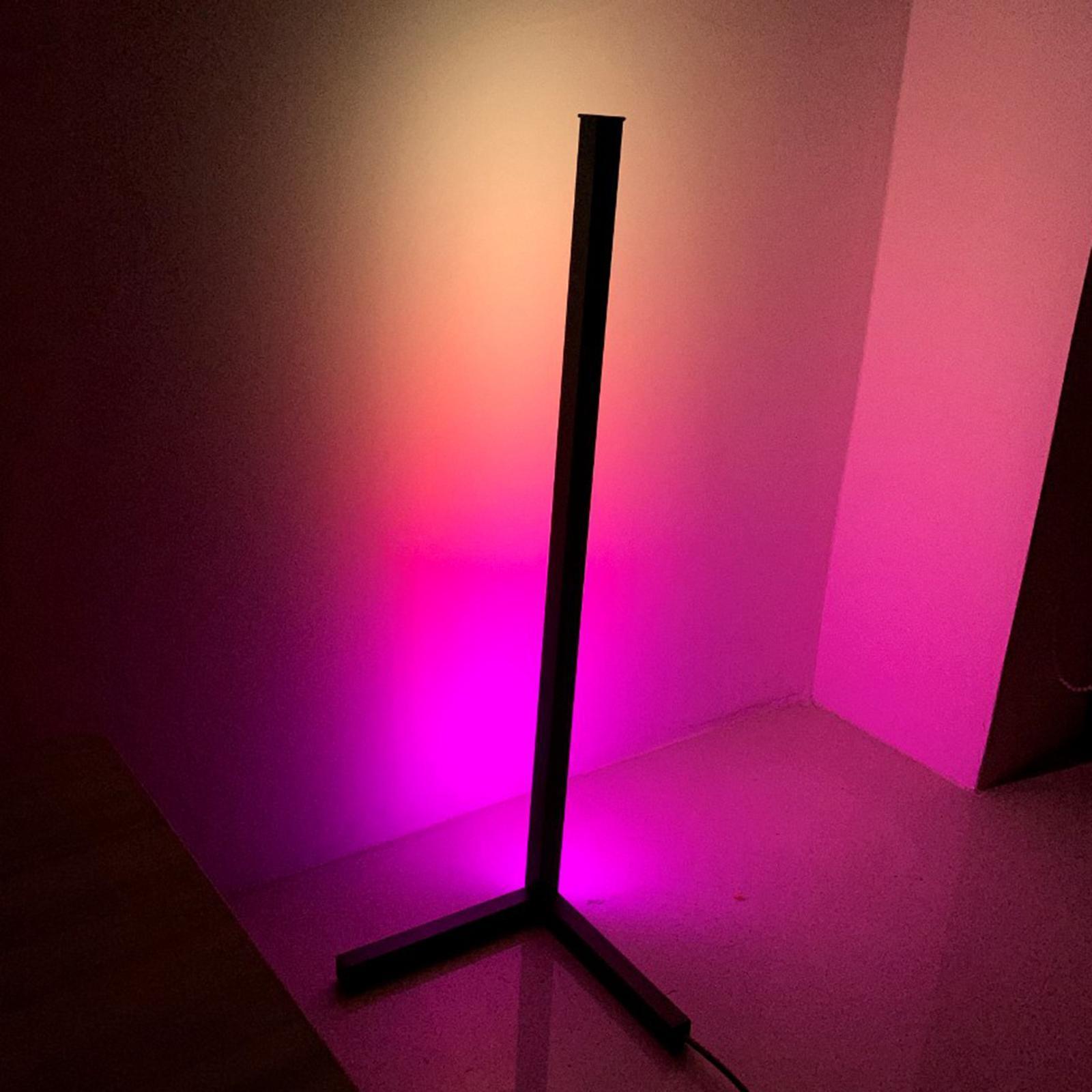 Color Changing RGB Mood Lighting Metal LED Wall Corner Floorlamp