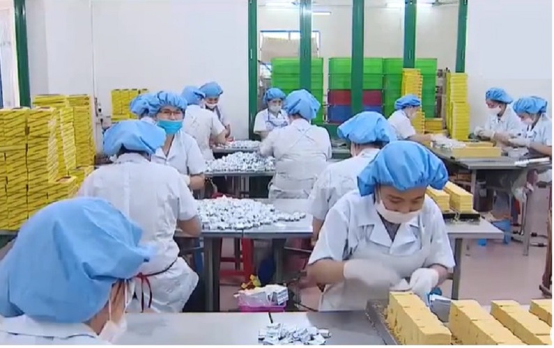 Bánh đậu xanh rồng vàng hải dương, hàng mới, thơm ngon, vị truyền thống