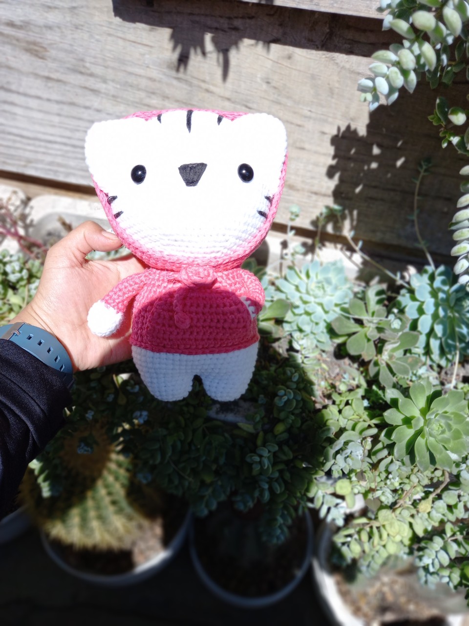 Mèo Hoodie