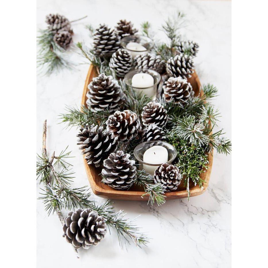 Sỉ 1kg 70 quả thông phủ tuyết decor trang trí Noel làm vòng nguyệt quế Giáng sinh