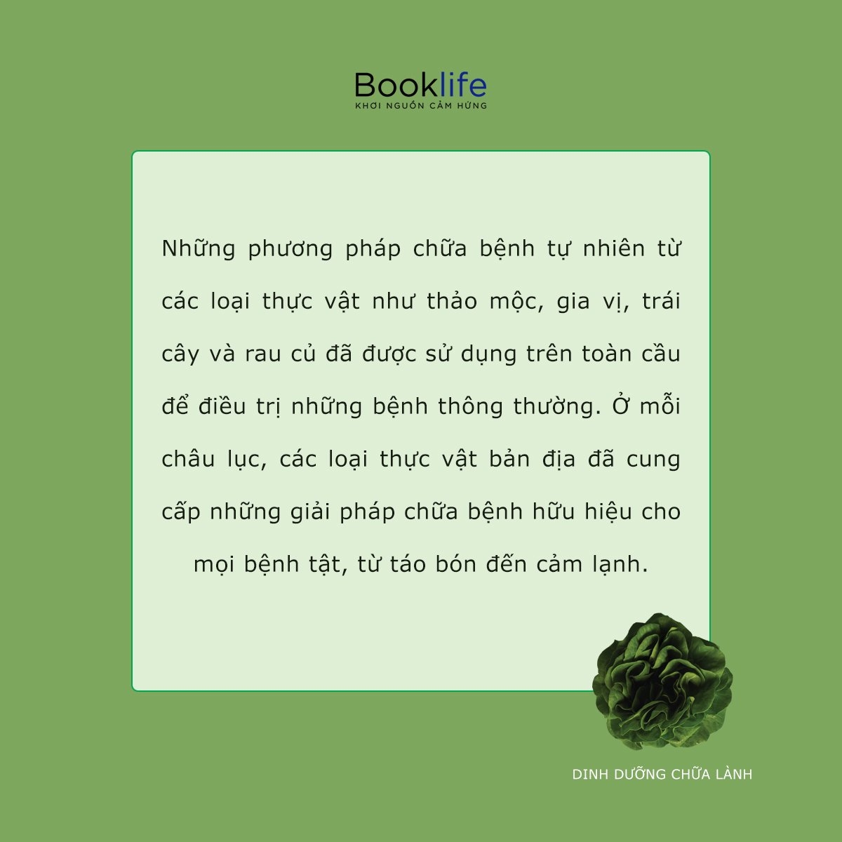 Sách - Dinh Dưỡng Chữa Lành - Booklife