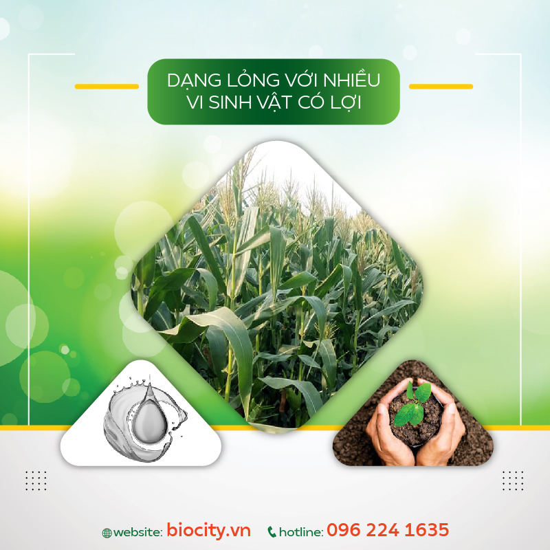 Phân thuốc sinh học phục hồi đất nhiễm mặn, nâng pH đất - Fresh Soil 1 lit