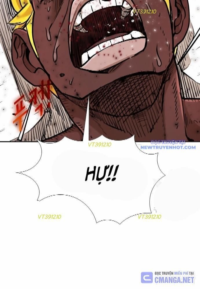 shark - cá mập chapter 260 116