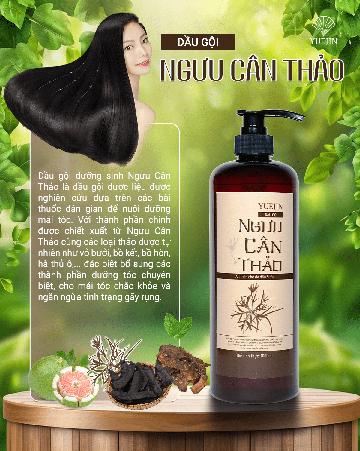 Dầu gội bồ kết, dầu gội thảo dược phụ hồi tóc, ngăn ngừa gãy rụng - Ngưu Cân Thảo Chai 1000ml