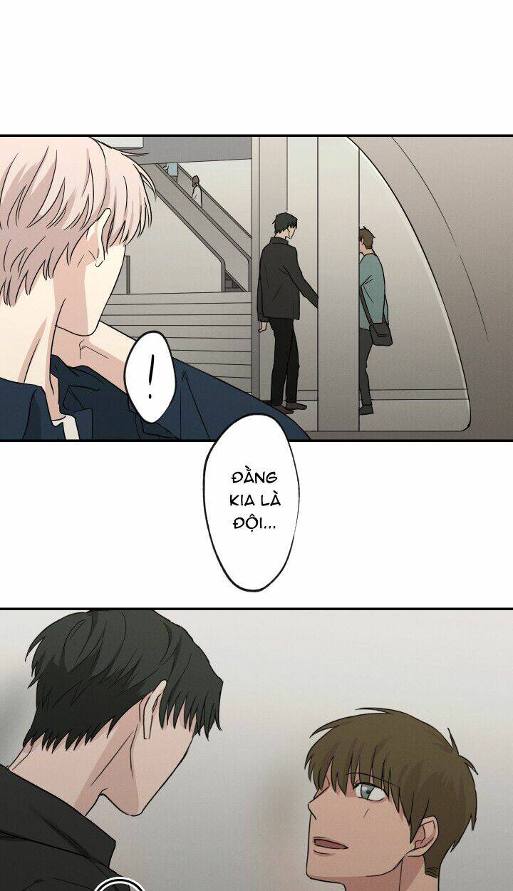 trốn tìm chapter 11 31