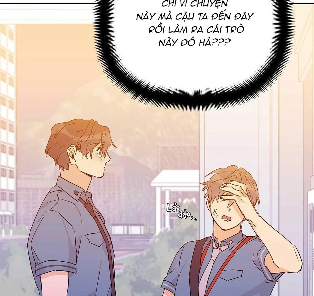 guide cấp b chapter 25 73