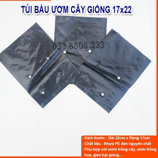 TÚI BẦU VUÔNG ĐEN DÙNG ƯƠM CÂY ( SIZE 17X22CM) 1KG- CHẬU ƯƠM CÂY BỀN ĐẸP