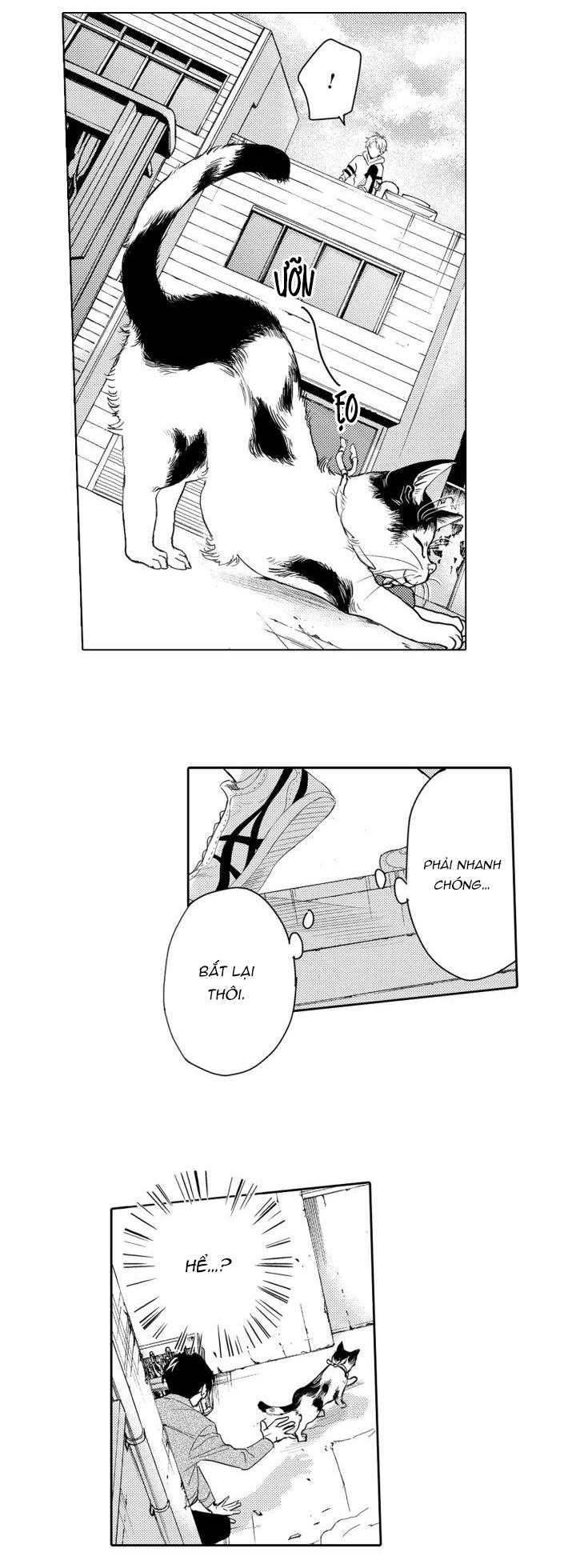 hiyoko-chan to harinezumi-kun chapter 1 17