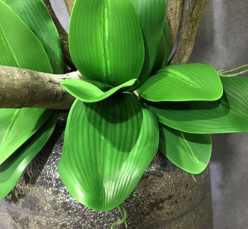 Lá lan hồ điệp giả giống thật 99% - 1 cụm gồm 5 lá - dài 27cm - Cây giả, hoa lụa Decor trang trí nhà cửa