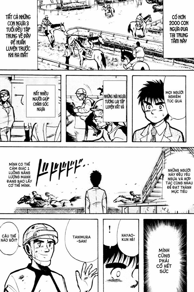 kaze no sylphid - phong mã silphid chapter 12 4