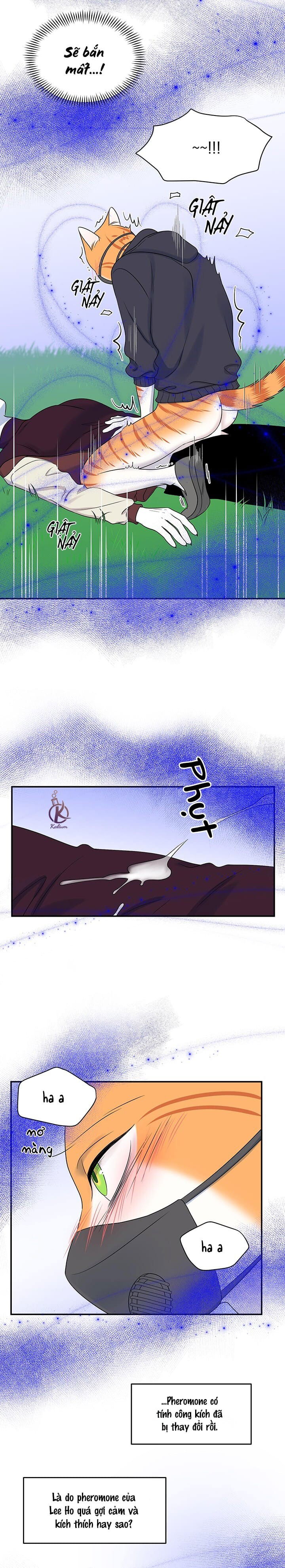 dự án xanh chapter 34 3