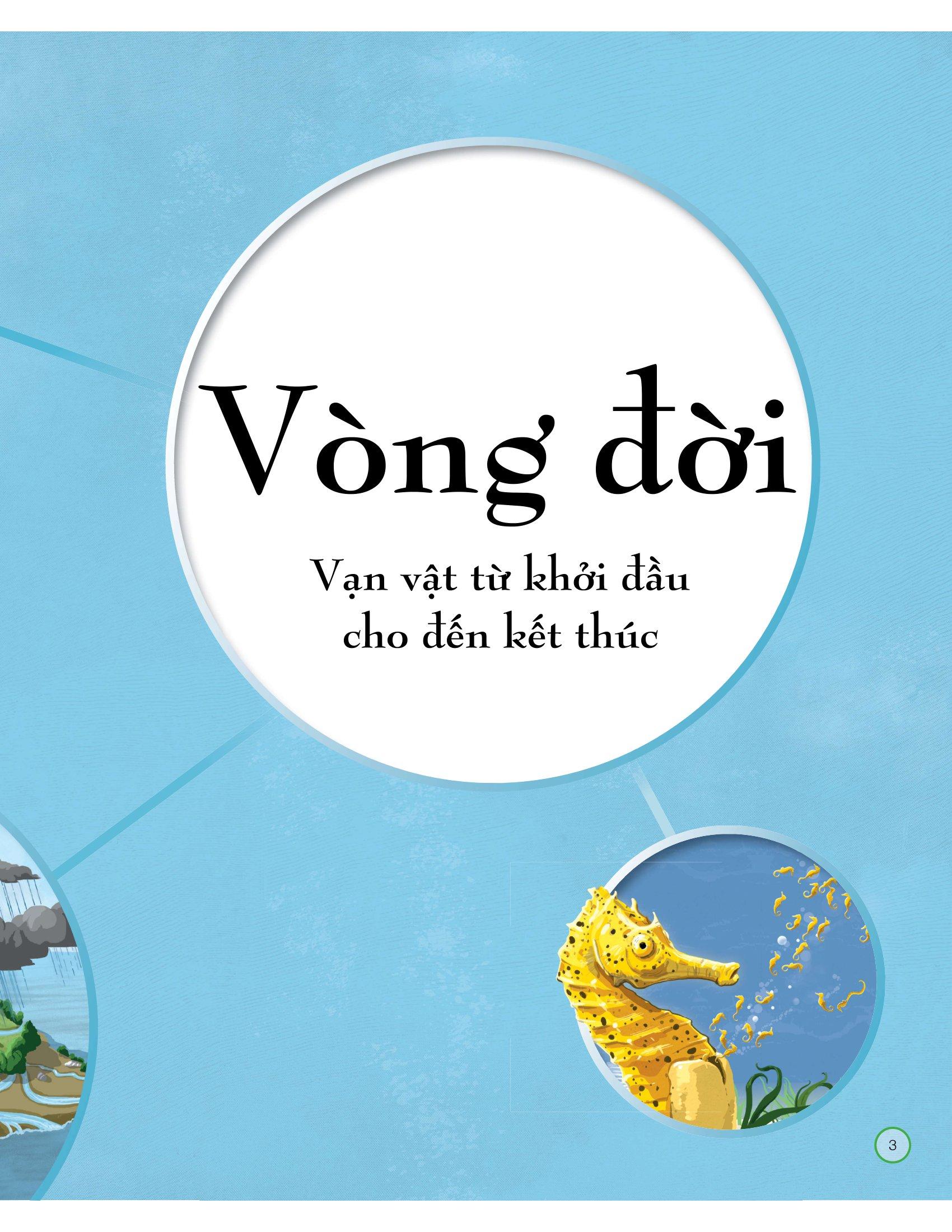 Vòng Đời - Life Cycles
