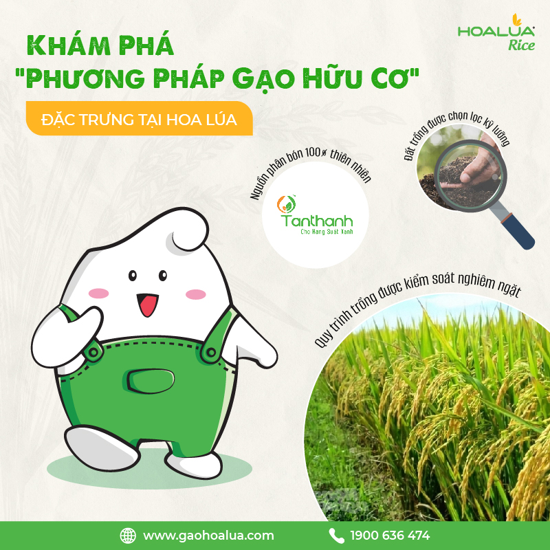 Gạo Hoa Lúa Đỏ - Túi 2kg - Dẻo mềm, Vị ngọt đậm, Thơm đặc trưng