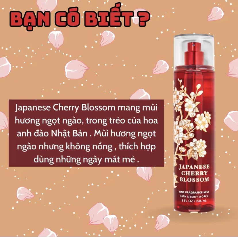 Body Mist Japanese Cherry Blossom - Xịt Thơm Bath and Body Work Japanese Cherry Blossom 236ml