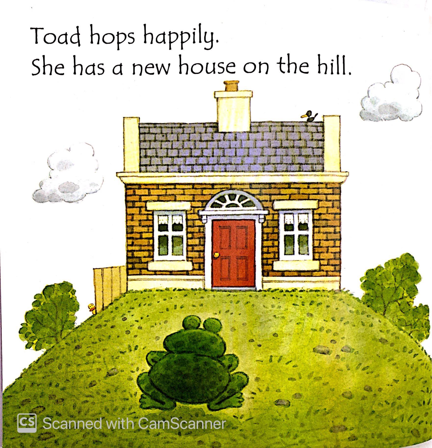 Usborne Toad makes a road