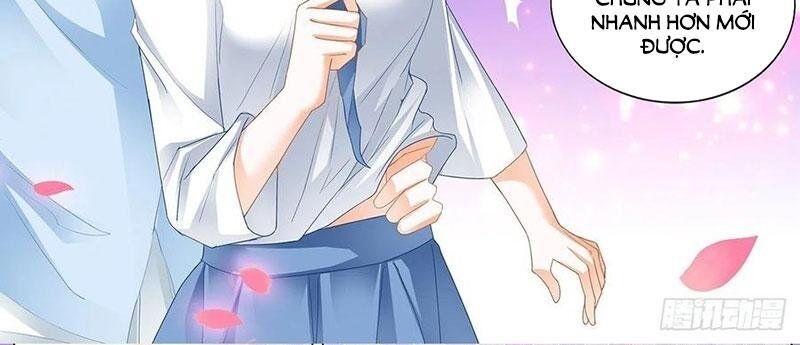 thiểm hôn kiều thê chapter 274 5