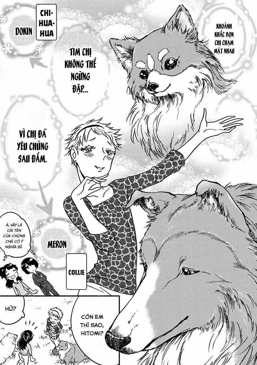 one-room wanko chapter 2 11