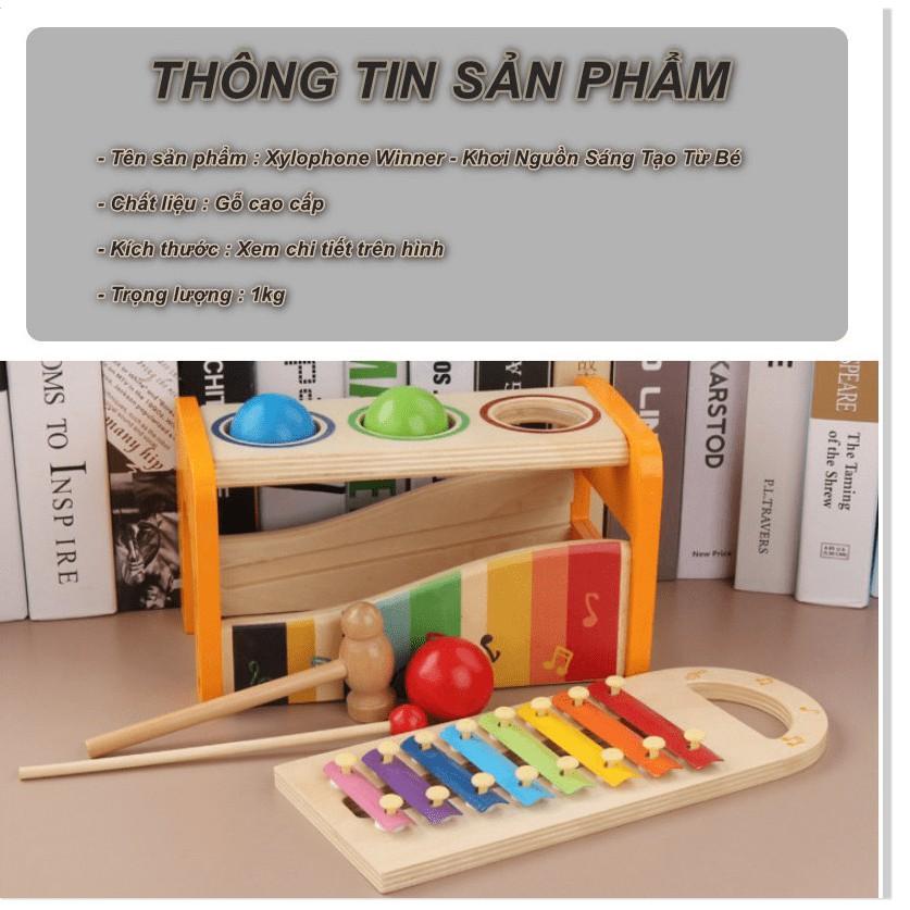 Đồ chơi sáng tạo cho bé Xylophone Winner - Khơi Nguồn Sáng Tạo Từ Bé