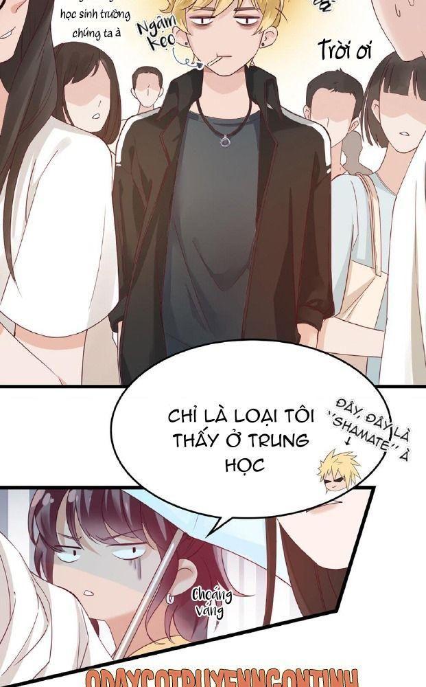 chiếc bật lửa và váy công chúa (b) chapter 1 36