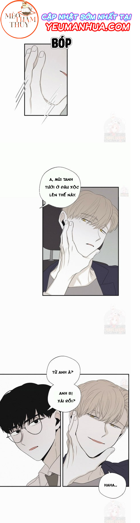 chiếu tướng chapter 18 22