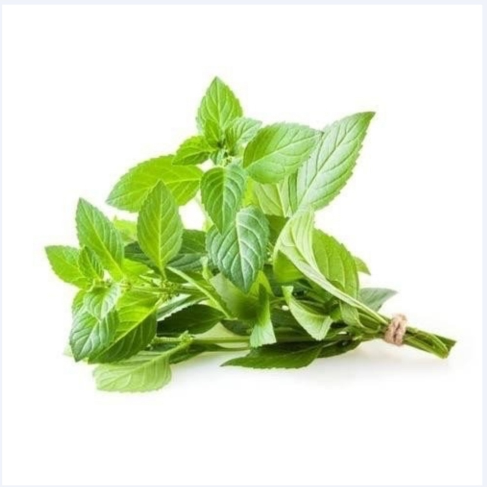 [CHỈ GIAO HCM] Húng cây - 100gr