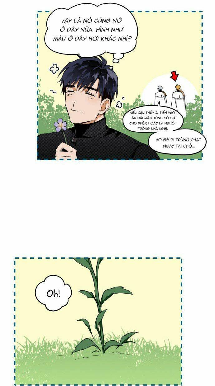 lâu đài vô danh chapter 15 22