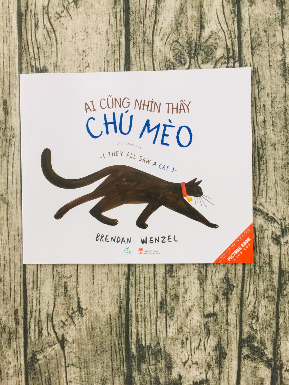 Ai Cũng Nhìn Thấy Chú Mèo – They All Saw A Cat