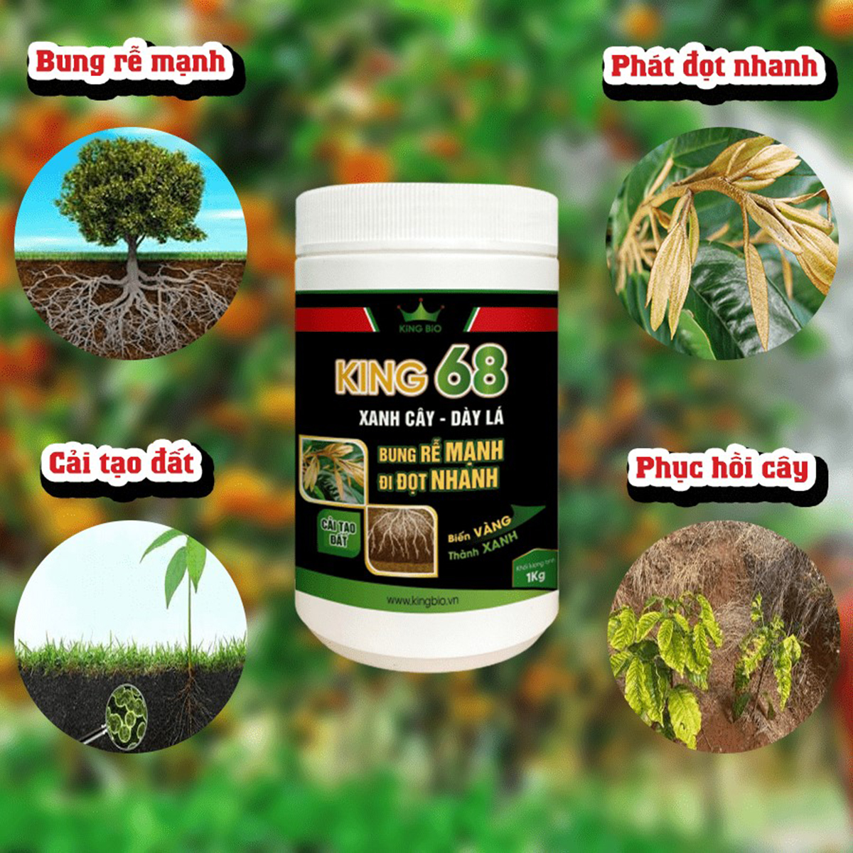 King 68 - Thuốc siêu kích rễ mạnh, ra đọt nhanh, xanh cây dầy lá, cải tạo đất, phục hồi cây bệnh, hồi sinh đất