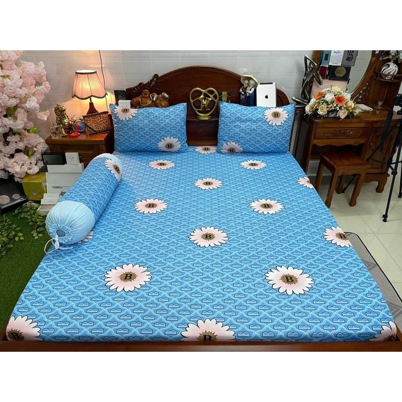 Drap thun hàn quốc