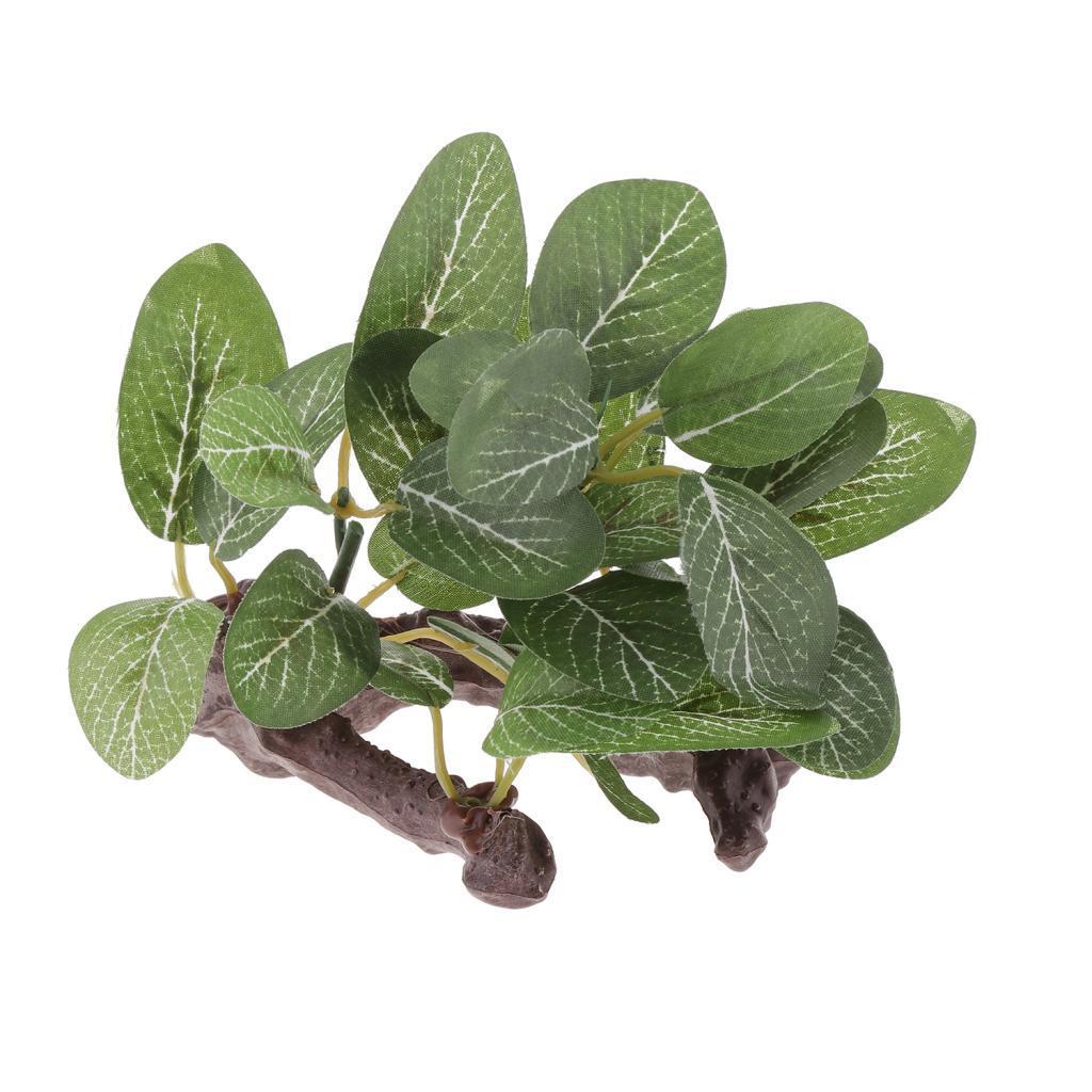 Terrarium Plants Creates Natural Hiding Spot for Reptiles &Amphibians