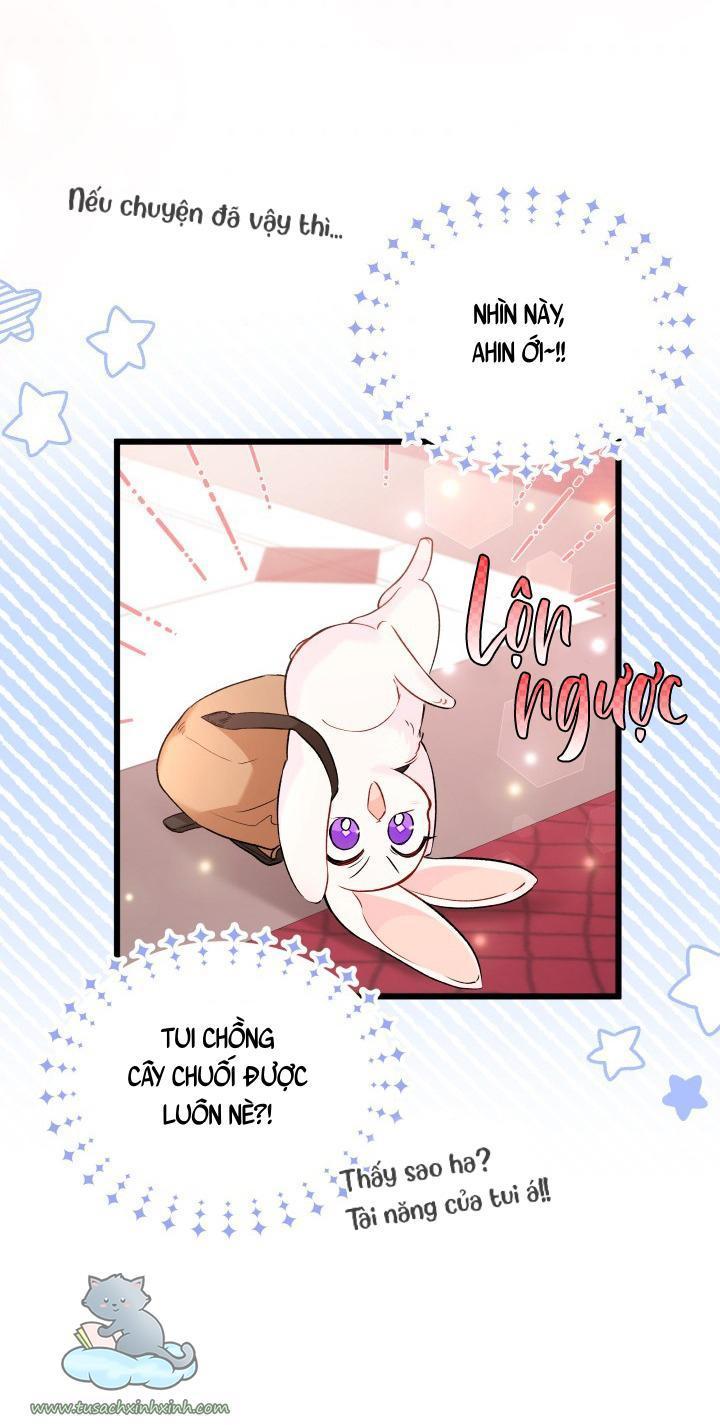 quan hệ cộng sinh giữa báo đen và thỏ trắng chapter 59 25