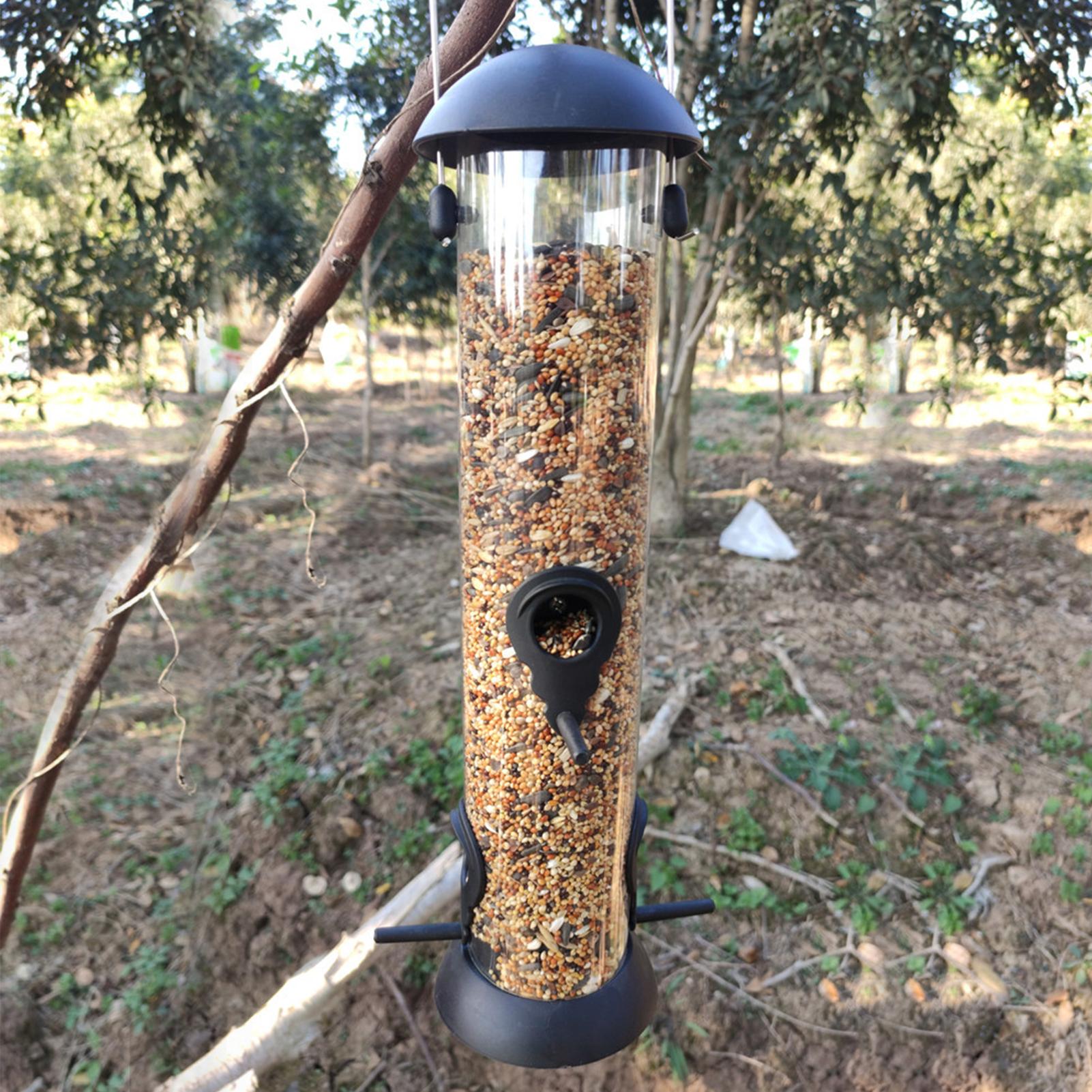 Máy cho chim ăn