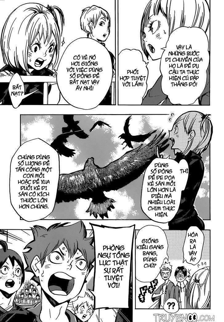 vua bóng chuyền chapter 160 3