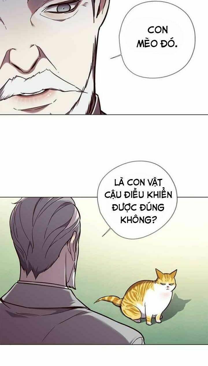 biến thân thành mèo chapter 92 25