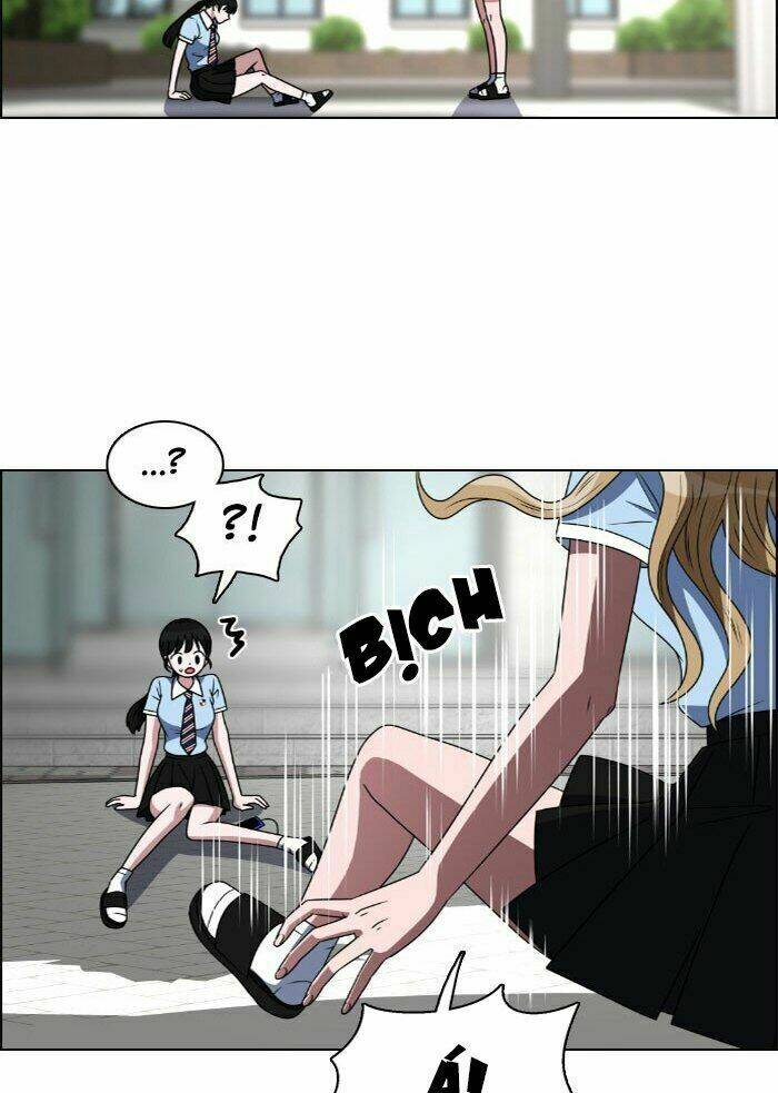 no scope chapter 29 55