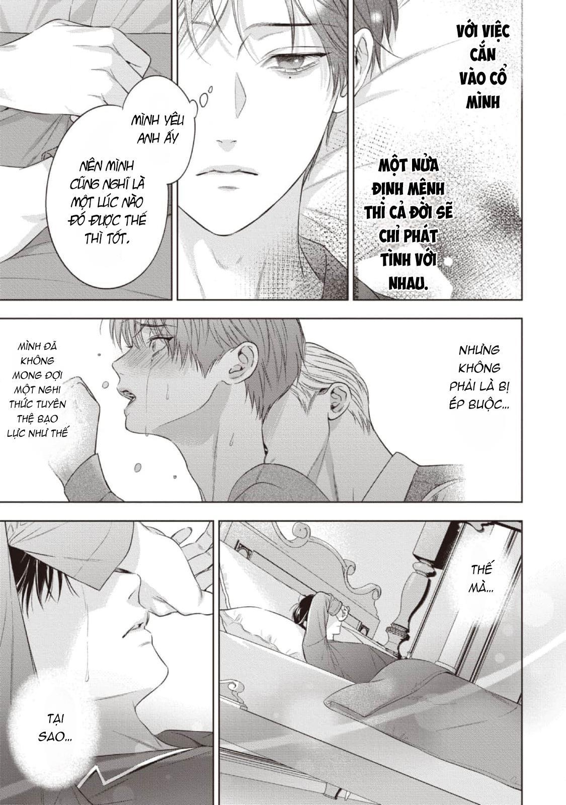 cô dâu của alpha chapter 22 14