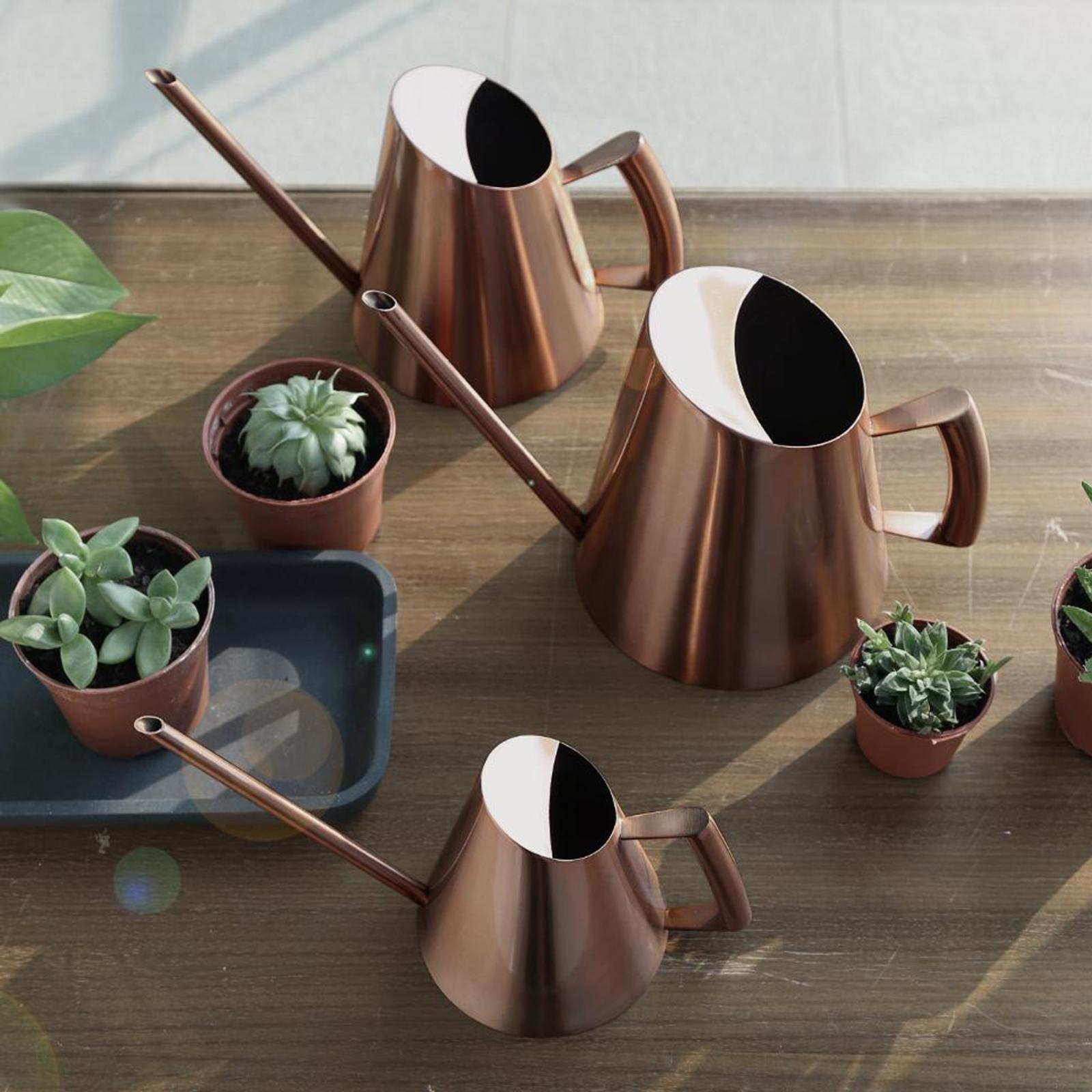 Small Indoor Watering Can for House Plants Stainless Steel Watering Pot with Long Spout