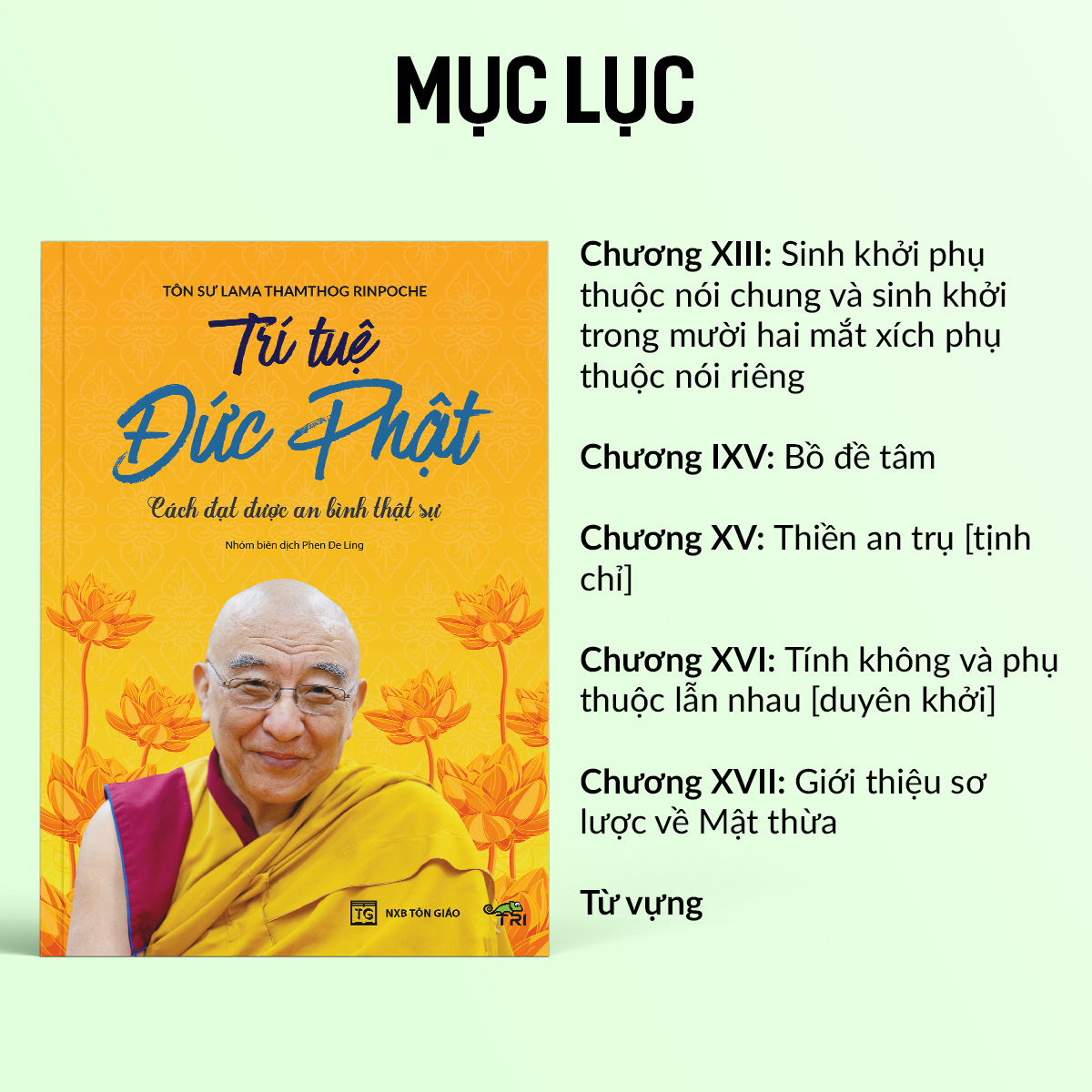 Sách - Trí Tuệ Đức Phật (Tôn Sư Lama Thamthog Rinpoche) - Tuệ Tri