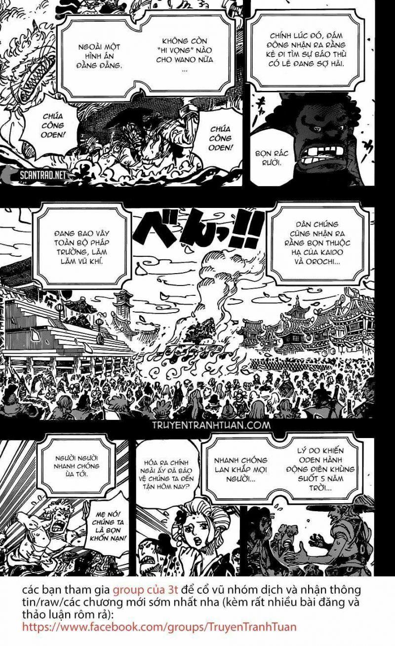 đảo hải tặc - one piece chapter 972 3
